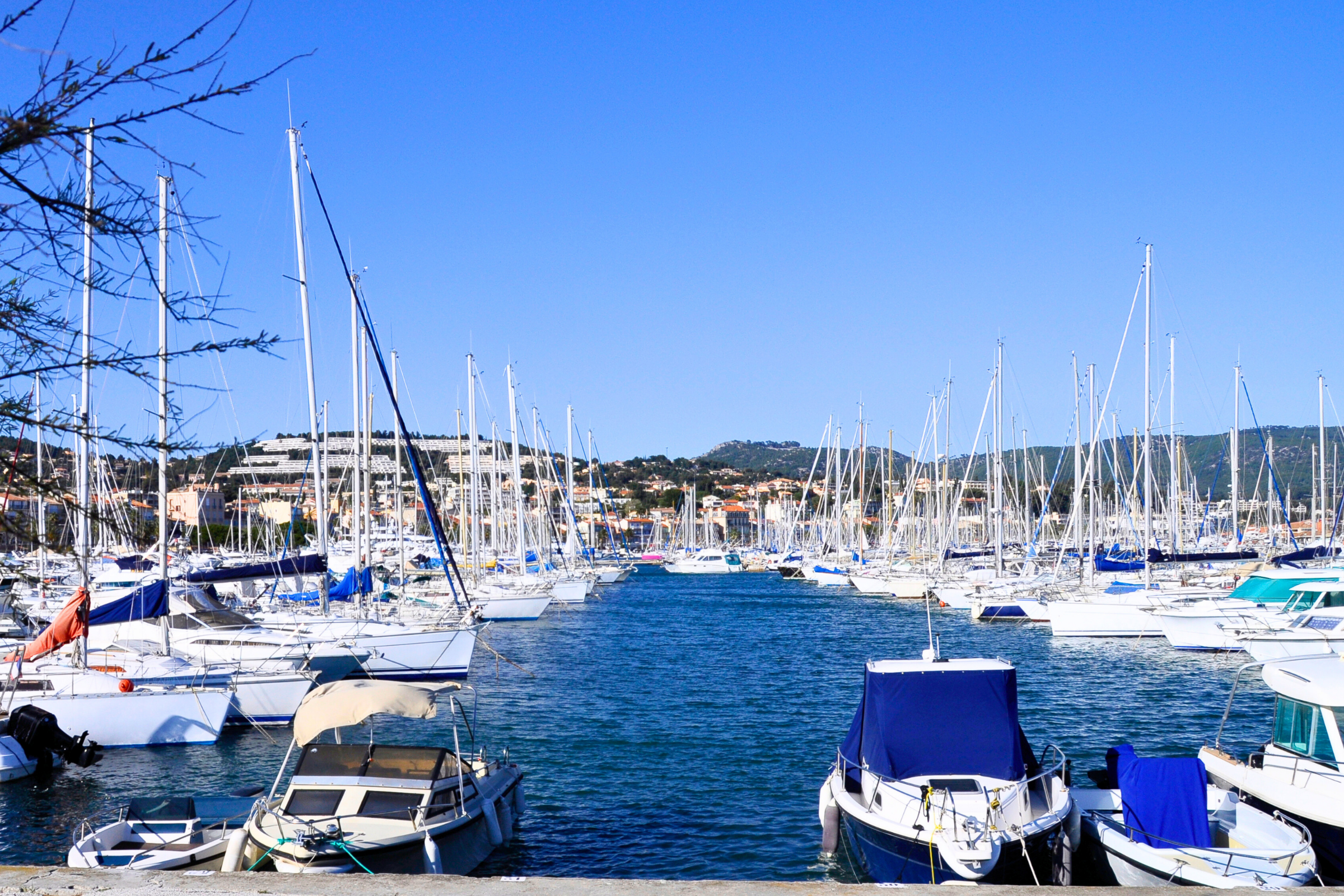 75 bandol.webp
